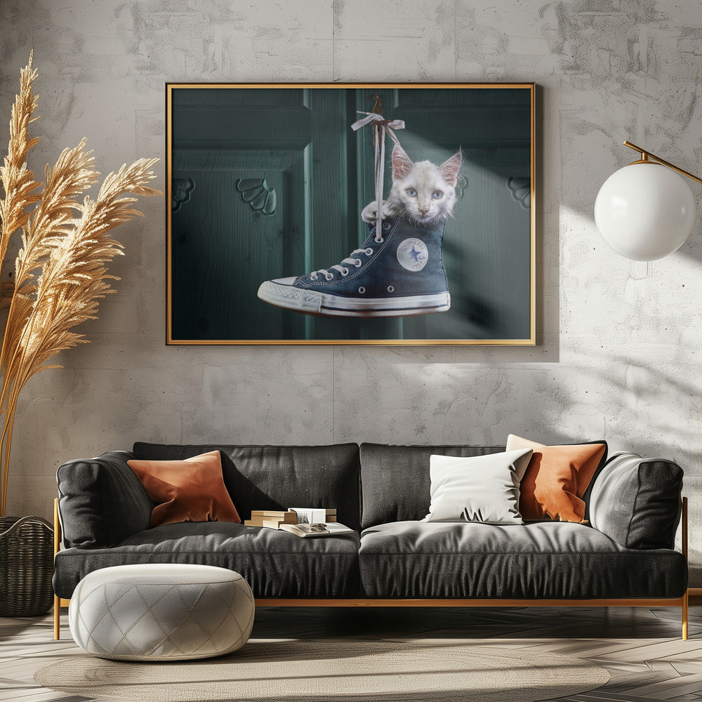 CatShoe Poster