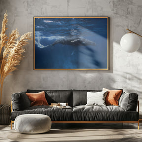 Humpback whale on the Iris bank Poster