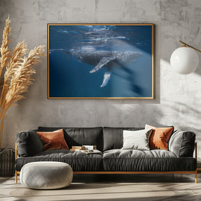 Humpback Whale Escort Poster