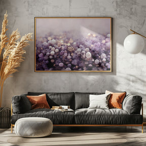 Purple Pepples Poster