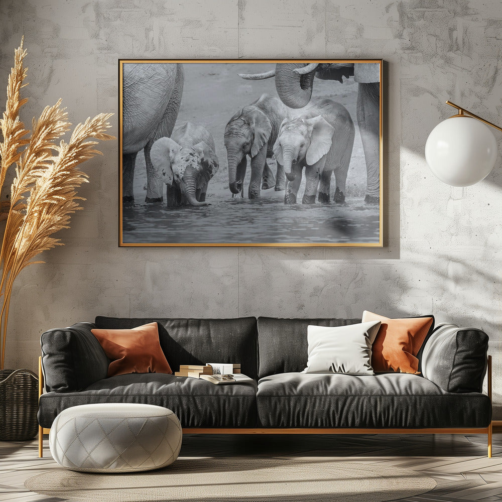 Elephant Babies Poster