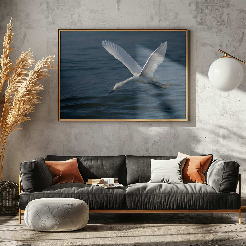 Gliding over the Ocean Poster