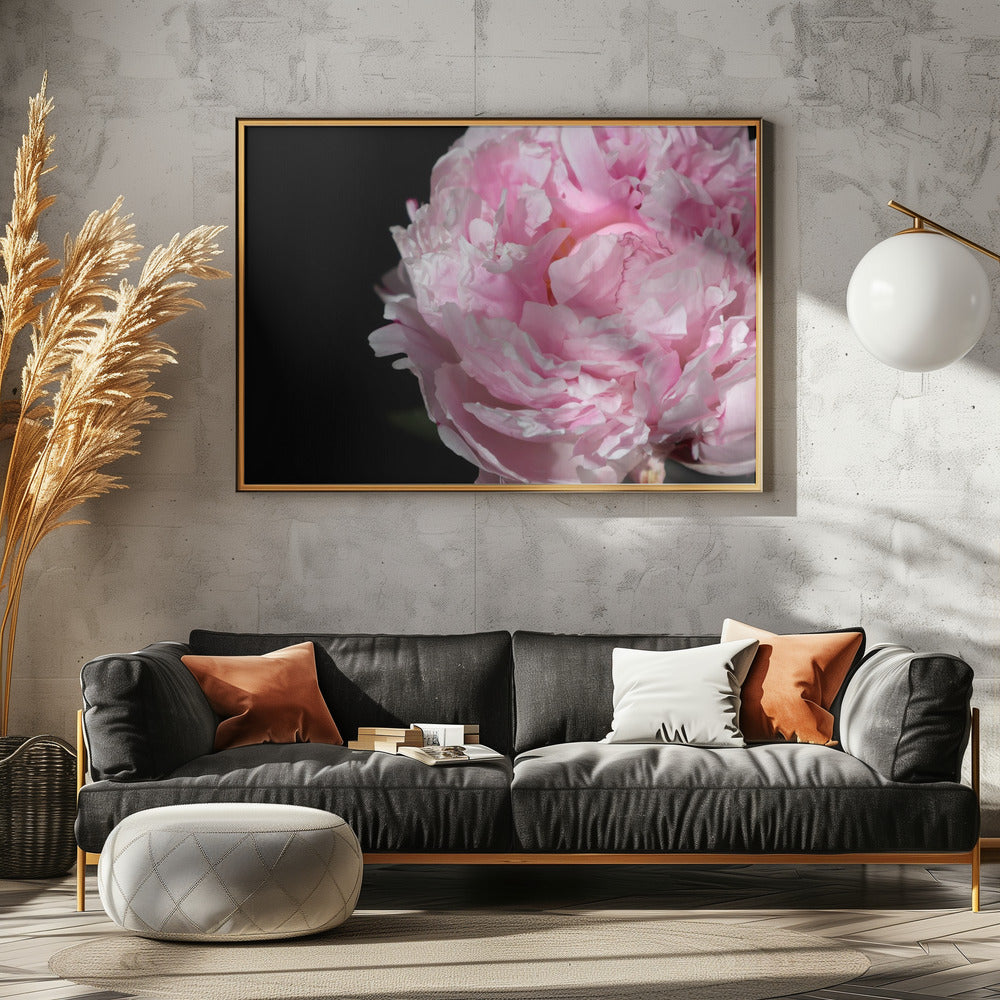 Pink peony IV Poster