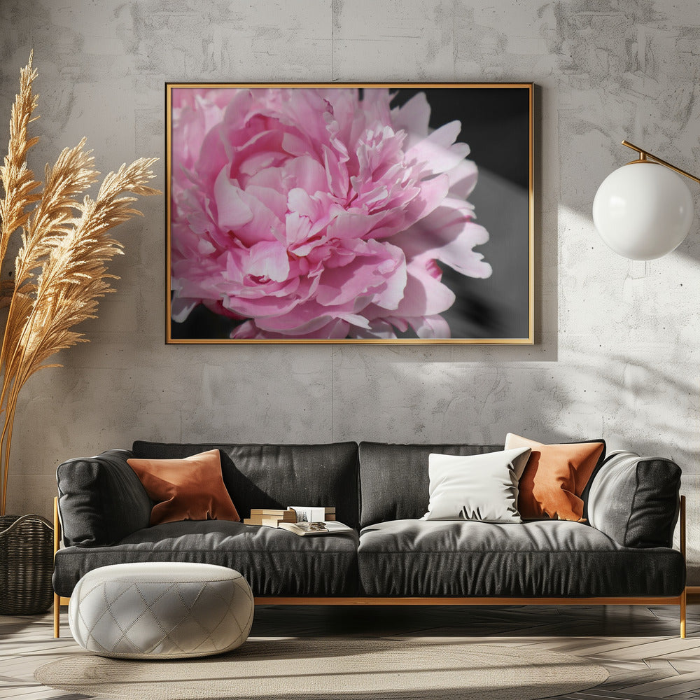 Pink peony VI Poster