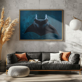 Mobula alfredi Poster