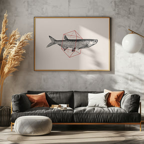 Fish In Geometrics Nº2 Poster