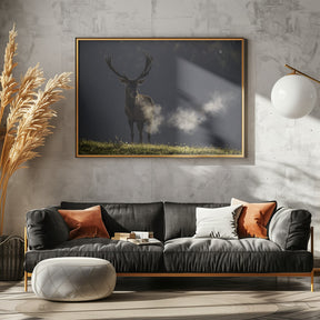 Red deer Poster