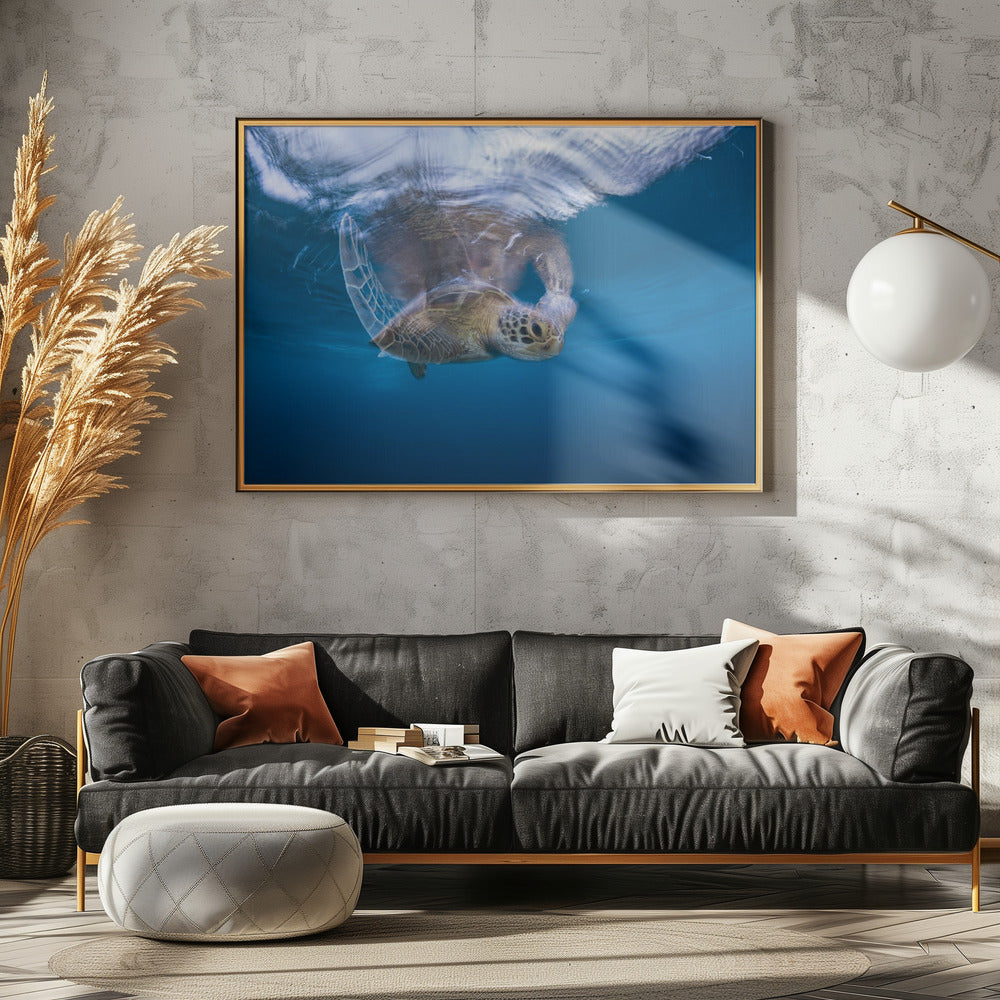 Swimming Green Turtle Poster