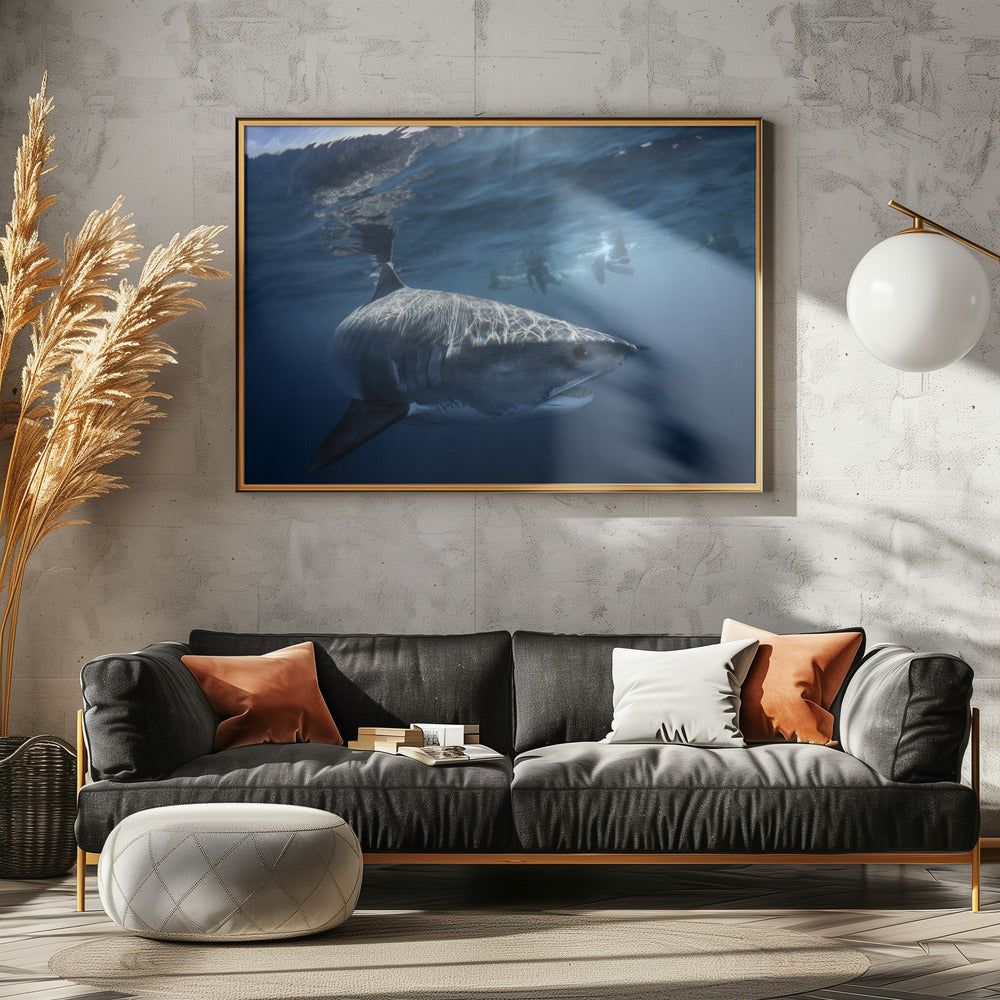 A Tiger shark is looking at me Poster