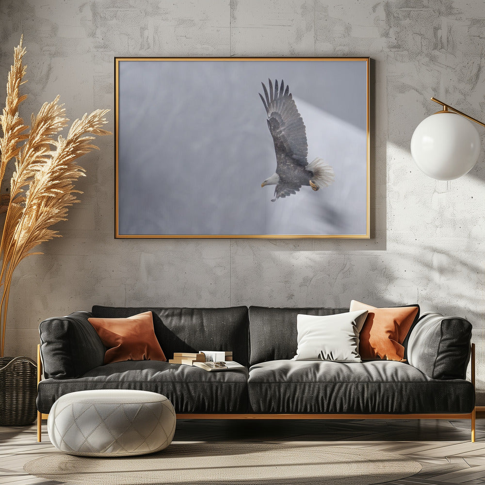 Bald Eagle in the Snow Poster