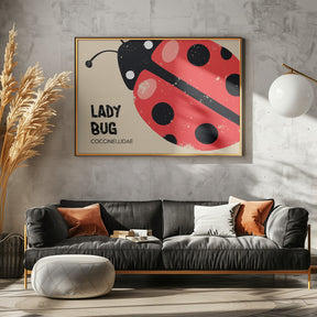 Lady Bug Poster