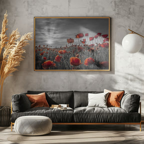 Poppies in the sunset | colorkey Poster