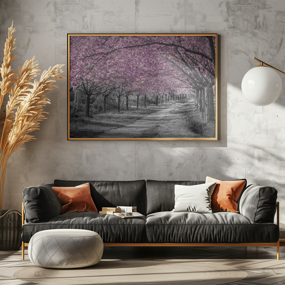 Charming cherry blossom alley in pink Poster