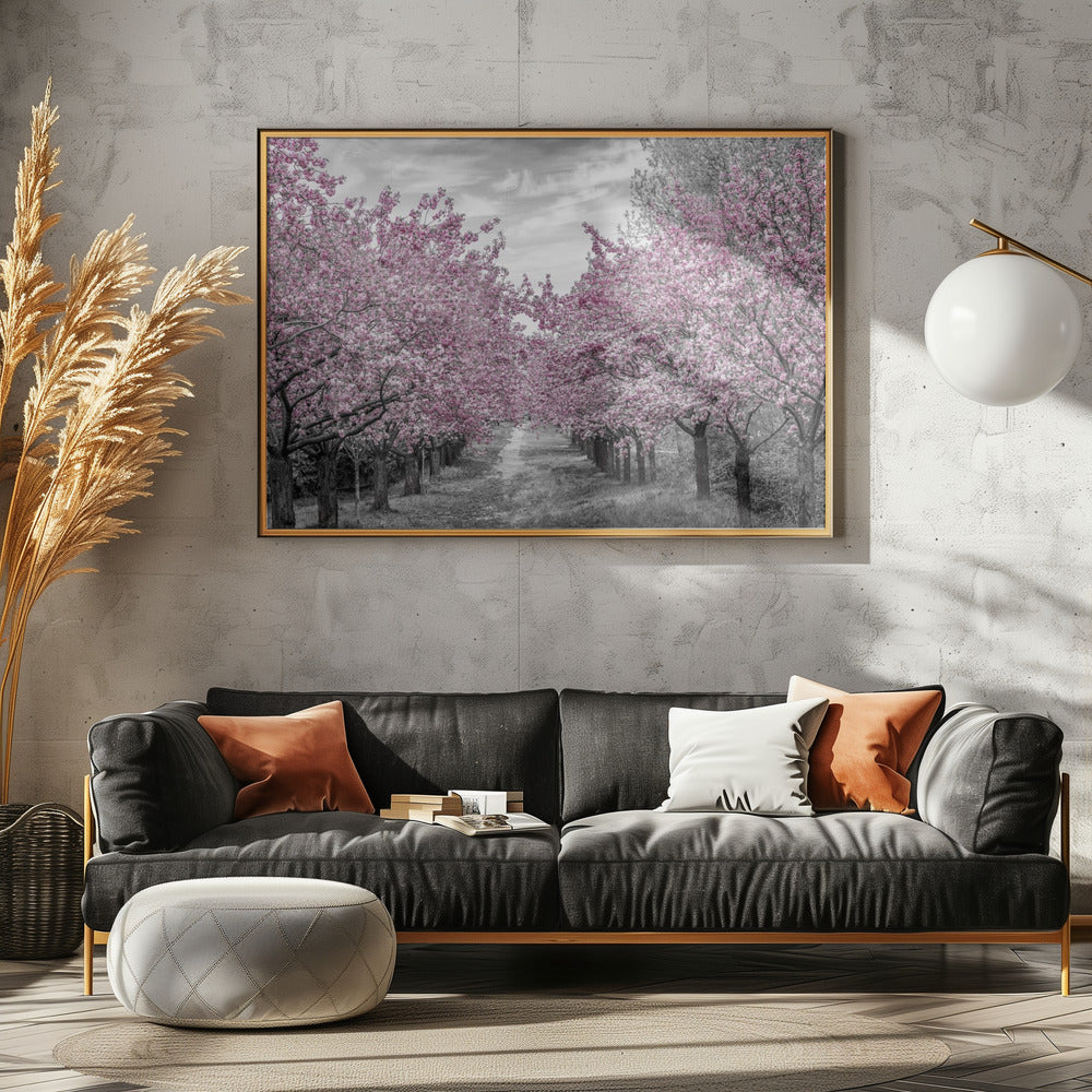 Charming cherry blossom alley Poster