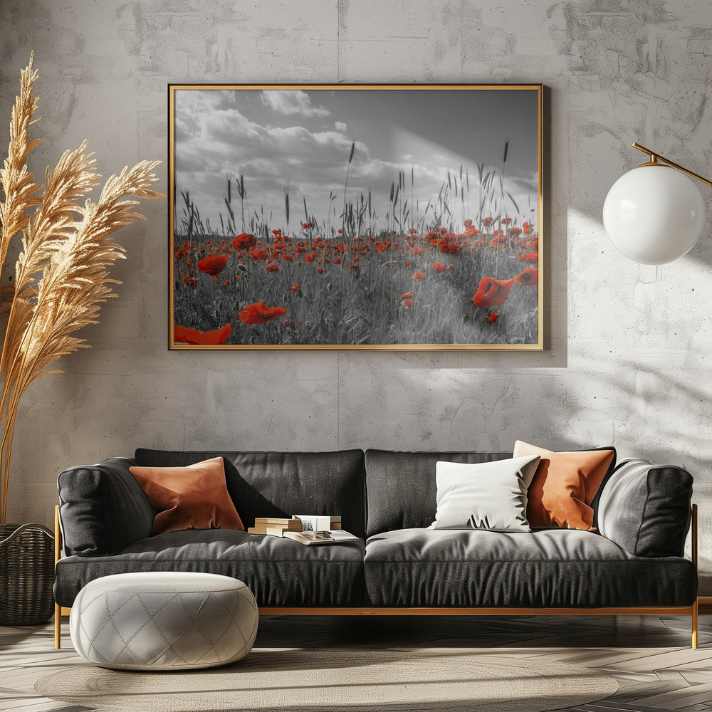 Field of poppies in colorkey Poster