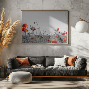 Lovely Poppy Field | panoramic view Poster