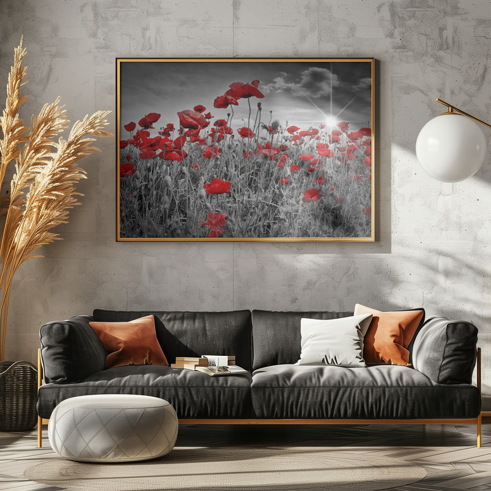 Idyllic Field of Poppies with Sun Poster