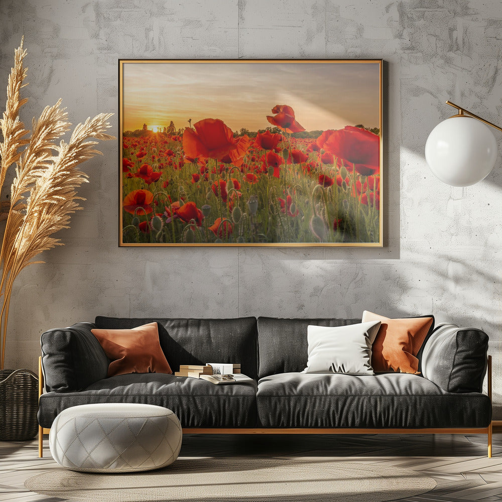 Setting sun in field of poppies | Panoramic Poster