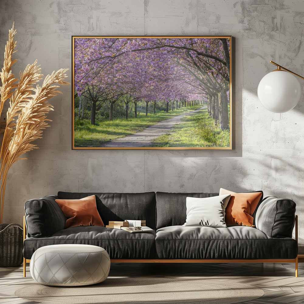 Idyllic cherry blossom alley Poster