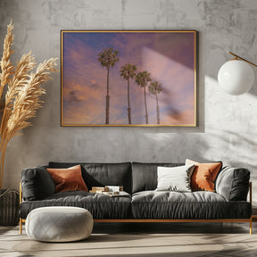 Palm trees - Idyllic sunset Poster