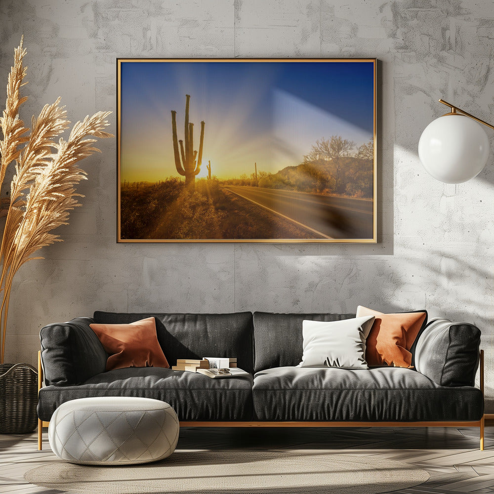 SAGUARO NATIONAL PARK Setting Sun Poster