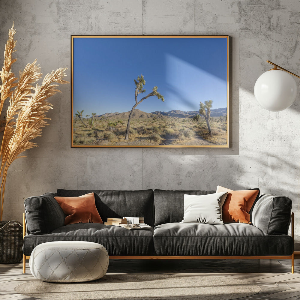 Joshua Tree National Park Impression Poster