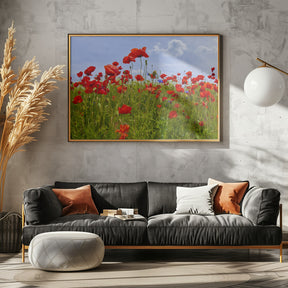 Field of Poppies | panoramic view Poster