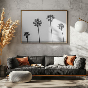 Palm trees by the sea | monochrome Poster