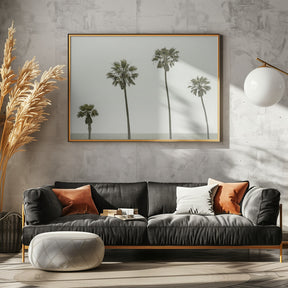 Vintage Palm Trees by the sea Poster