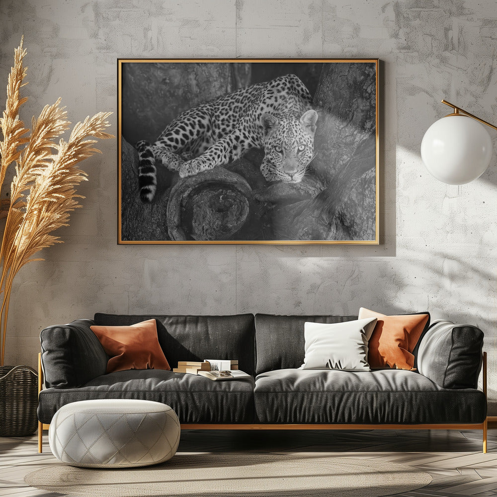 Leopard on A Tree Poster