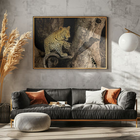 Leopard on A Tree Poster