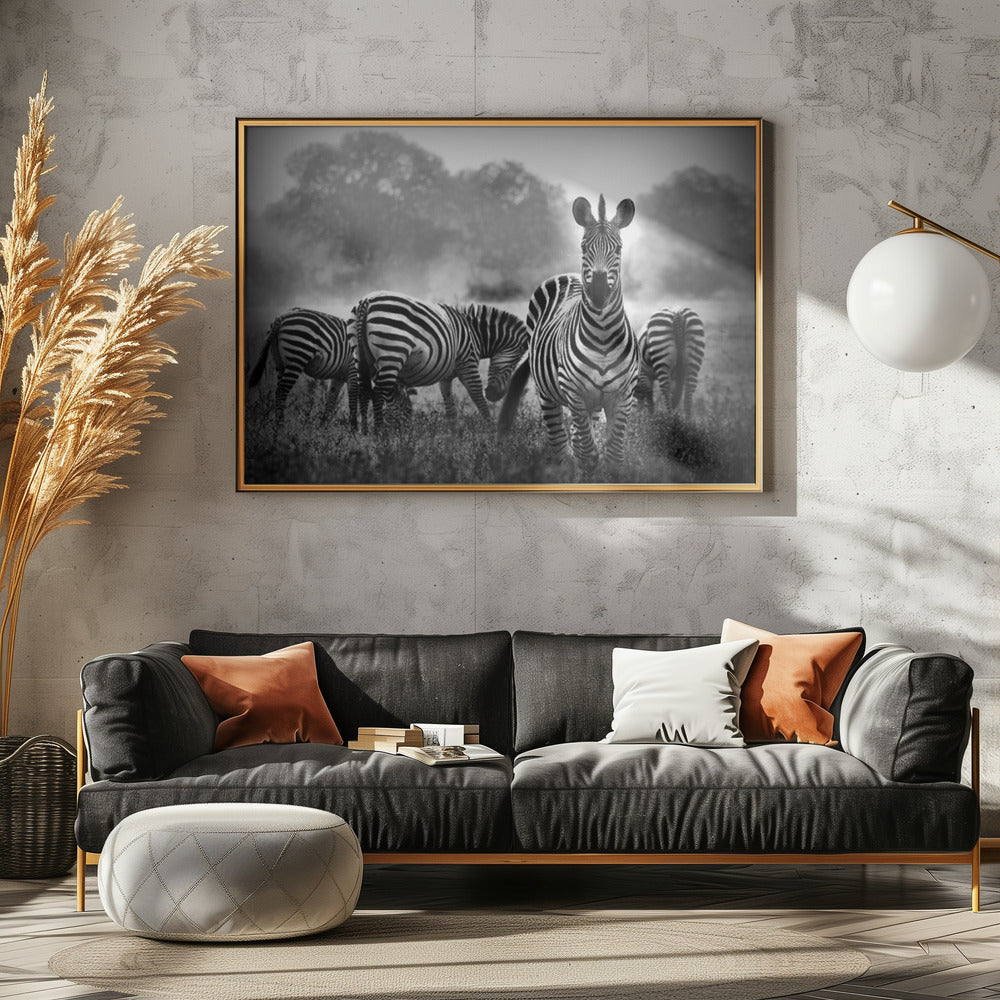 Stallion in a Pin Stripe Suit Poster