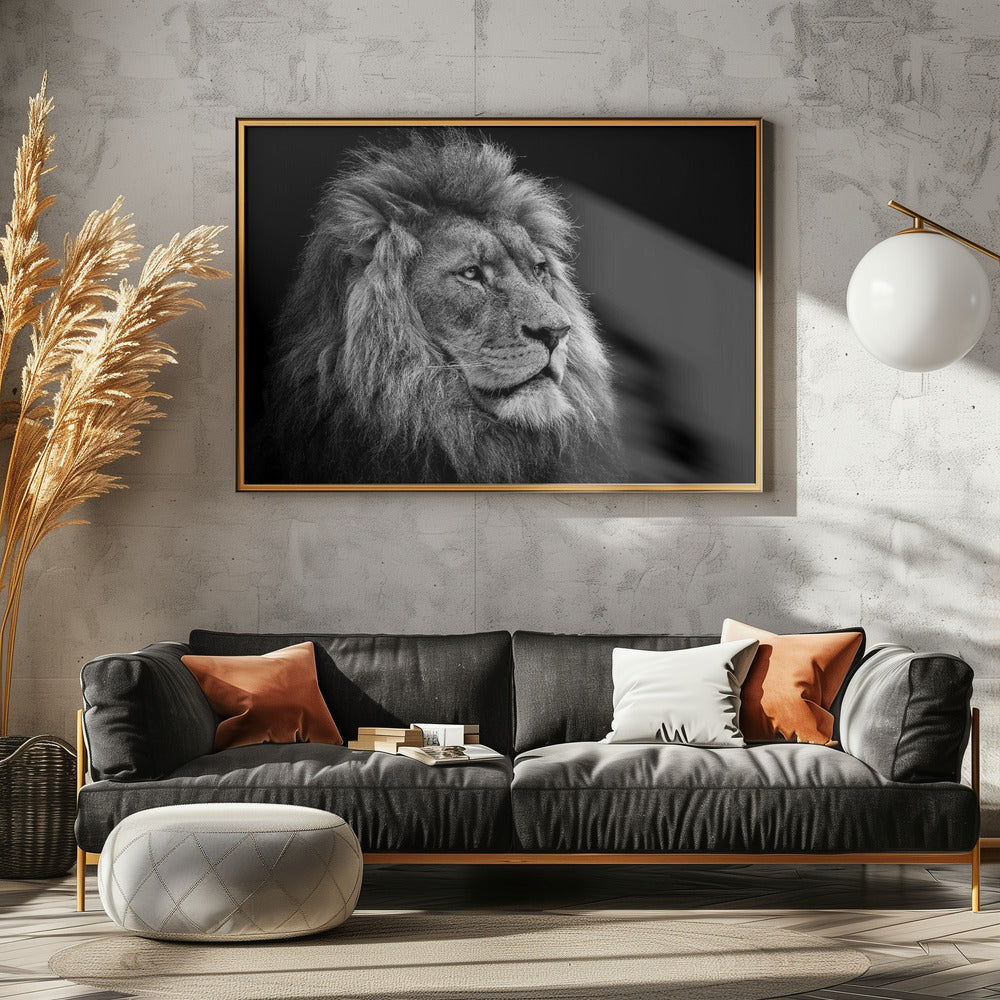 Lion Poster