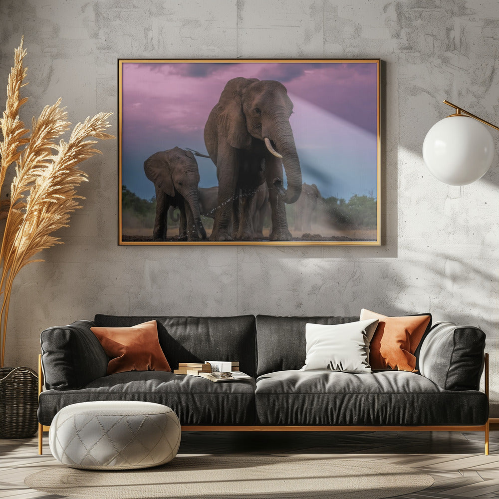 Elephants Poster