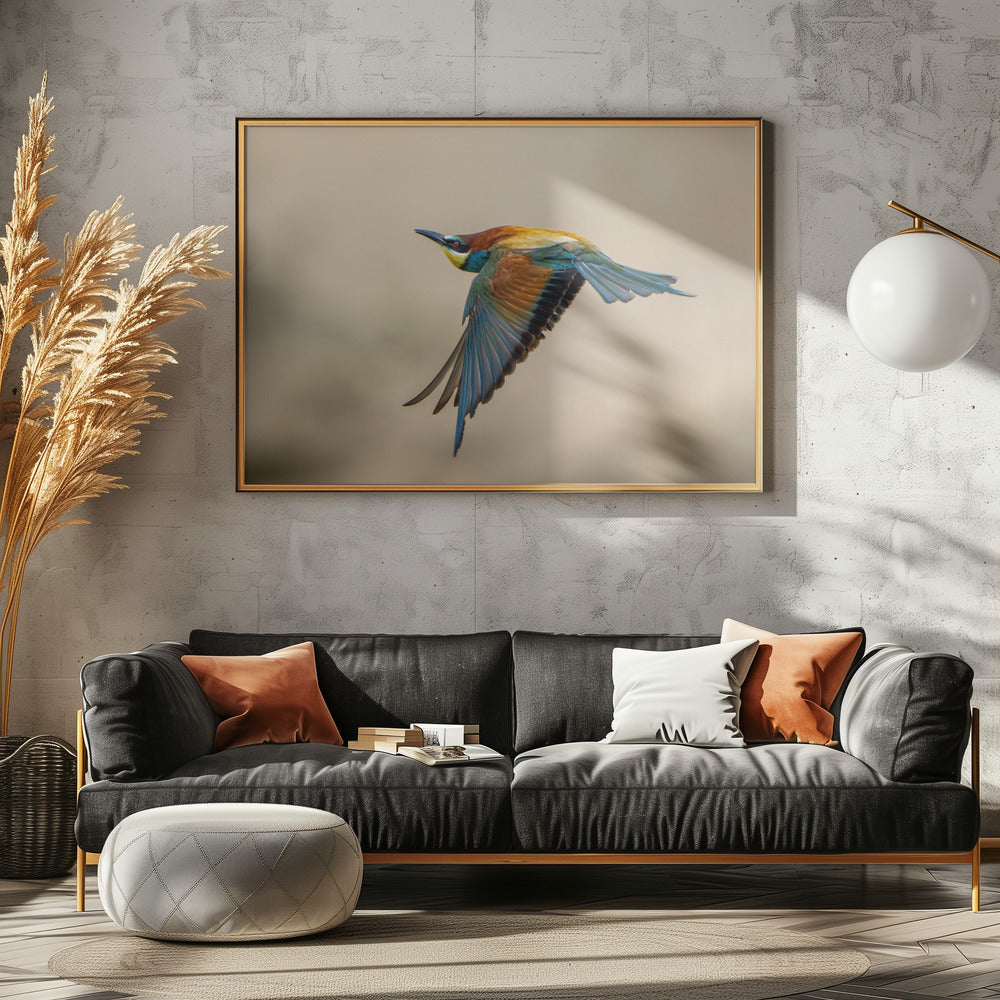 Bee-eater Poster