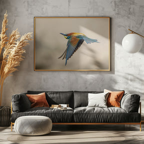 Bee-eater Poster