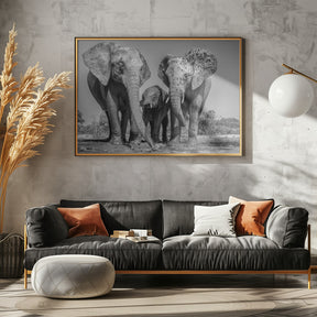 Elephant Family Poster