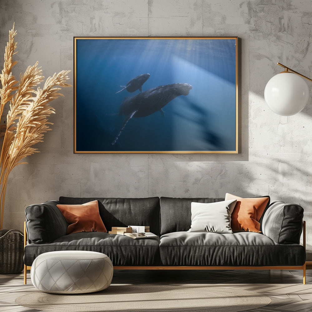 Calf and Mother of the Sea Poster