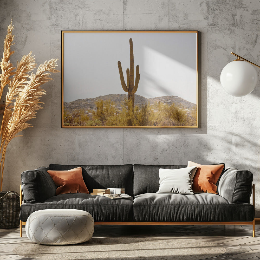 Under the Tucson Sun Poster