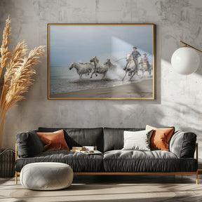 Camargue horses Poster