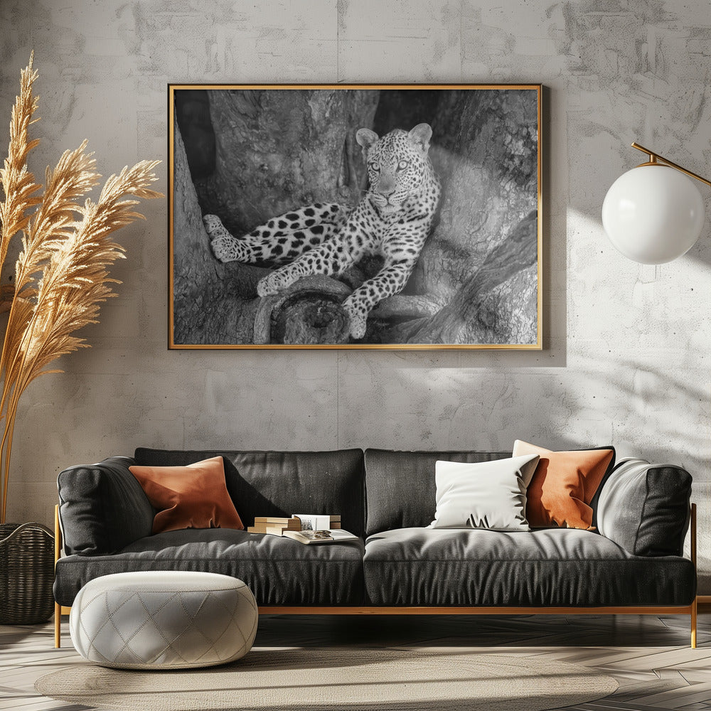 Leopard on A Tree Poster