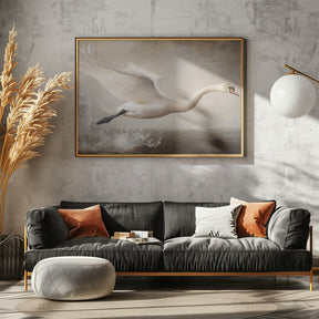 Flying Swan Poster