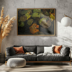 Lily Pads Poster