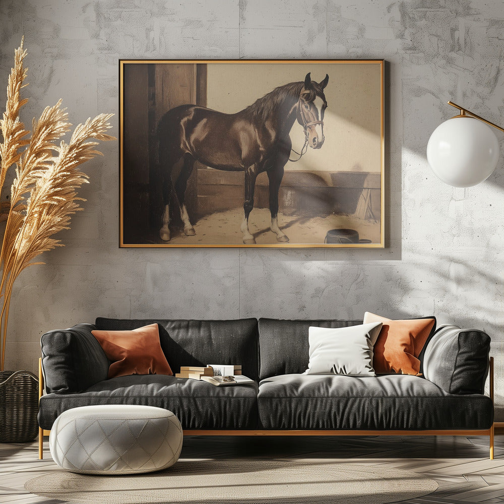 Dark Brown Horse Poster