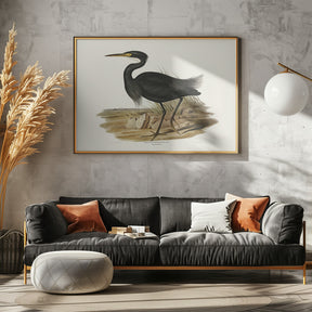 Sombre Egret Poster