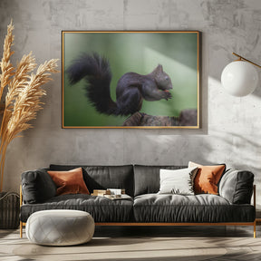 squirrel on wood with perfect pose Poster