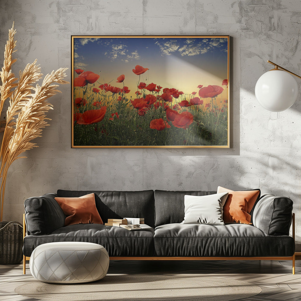 Poppies Poster