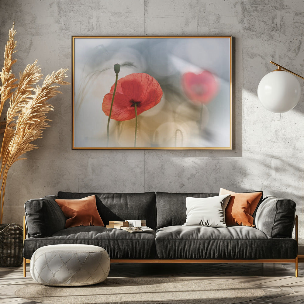 Morning Poppies Poster