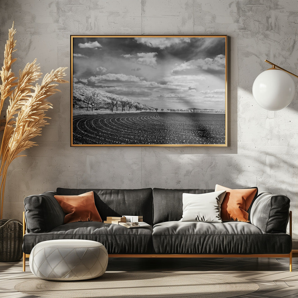 Bio athletic stadium Poster