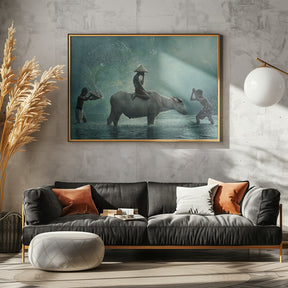 Water Buffalo Poster